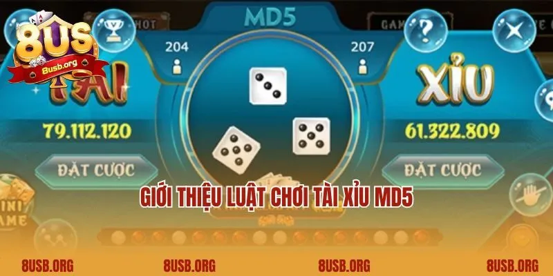 Giới thiệu luật chơi tài xỉu MD5